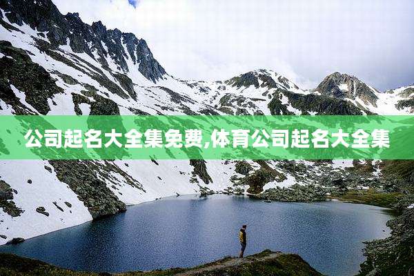 公司起名大全集免费,体育公司起名大全集