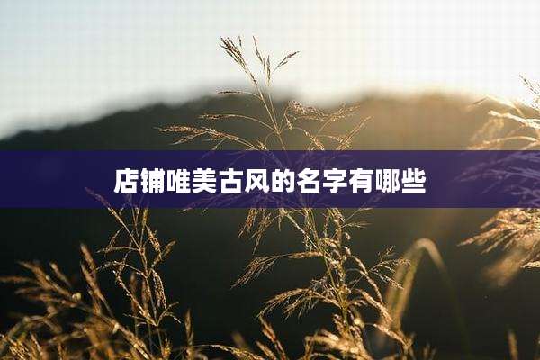 店铺唯美古风的名字有哪些