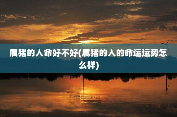 属猪的人命好不好(属猪的人的命运运势怎么样)