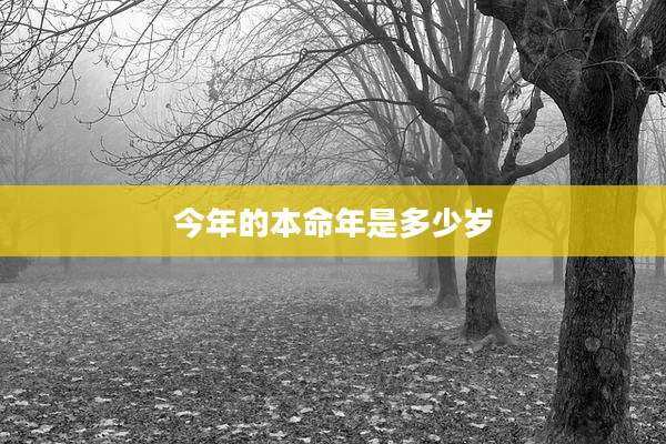 今年的本命年是多少岁