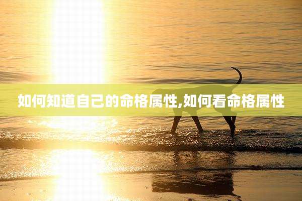 如何知道自己的命格属性,如何看命格属性