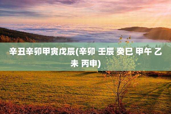 辛丑辛卯甲寅戊辰(辛卯 壬辰 癸巳 甲午 乙未 丙申)