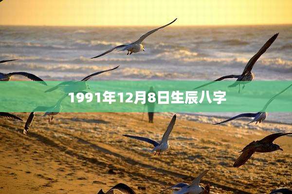 1991年12月8日生辰八字