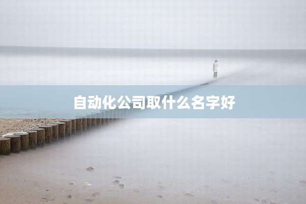 自动化公司取什么名字好