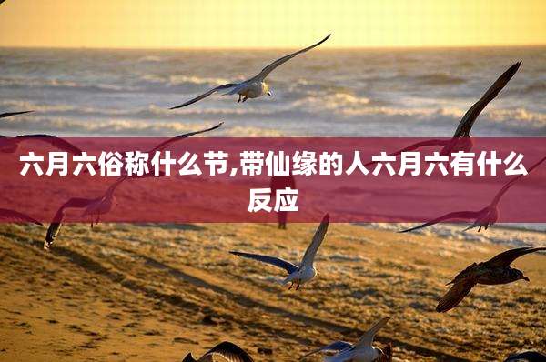 六月六俗称什么节,带仙缘的人六月六有什么反应