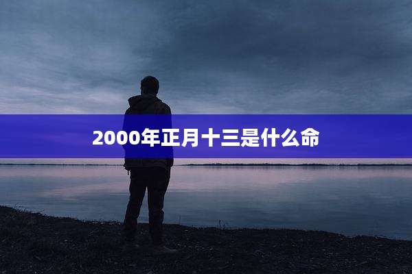 2000年正月十三是什么命
