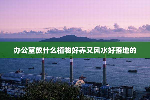 办公室放什么植物好养又风水好落地的