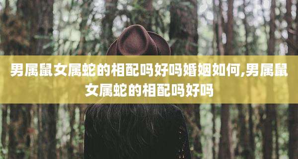男属鼠女属蛇的相配吗好吗婚姻如何,男属鼠女属蛇的相配吗好吗