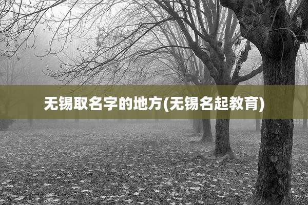 无锡取名字的地方(无锡名起教育)