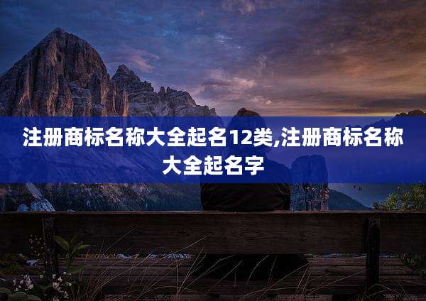 注册商标名称大全起名12类,注册商标名称大全起名字
