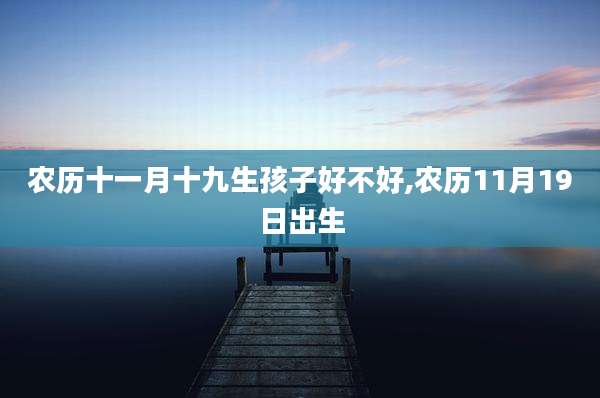 农历十一月十九生孩子好不好,农历11月19日出生