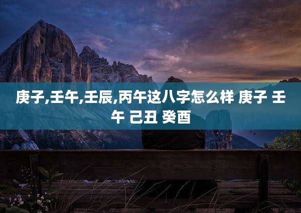 庚子,壬午,壬辰,丙午这八字怎么样 庚子 壬午 己丑 癸酉