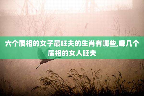 六个属相的女子最旺夫的生肖有哪些,哪几个属相的女人旺夫