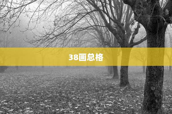 38画总格