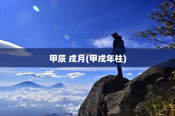 甲辰 戌月(甲戍年柱)