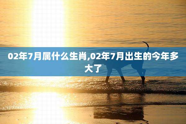 02年7月属什么生肖,02年7月出生的今年多大了