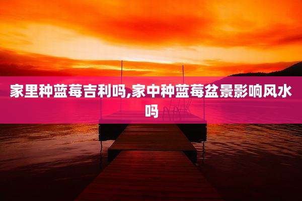 家里种蓝莓吉利吗,家中种蓝莓盆景影响风水吗