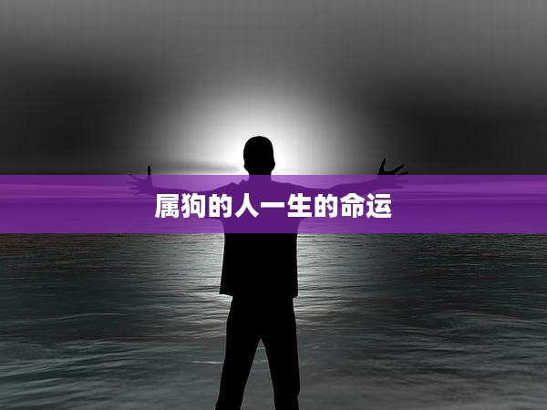 属狗的人一生的命运
