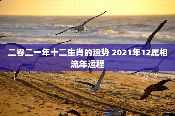 二零二一年十二生肖的运势 2021年12属相流年运程