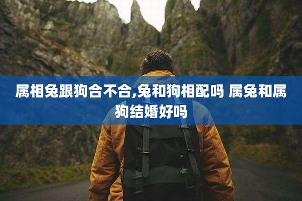 属相兔跟狗合不合,兔和狗相配吗 属兔和属狗结婚好吗