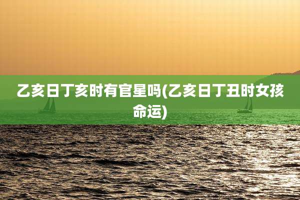 乙亥日丁亥时有官星吗(乙亥日丁丑时女孩命运)