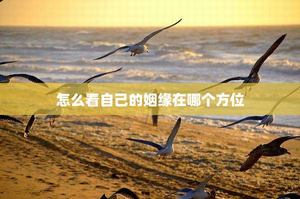 怎么看自己的姻缘在哪个方位