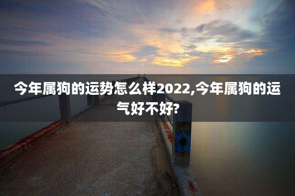 今年属狗的运势怎么样2022,今年属狗的运气好不好?
