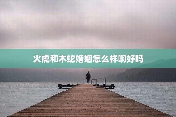 火虎和木蛇婚姻怎么样啊好吗