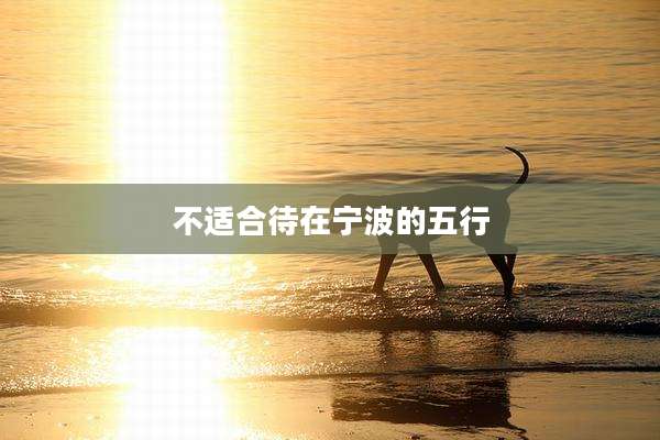 不适合待在宁波的五行