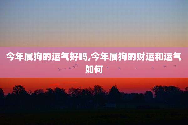 今年属狗的运气好吗,今年属狗的财运和运气如何