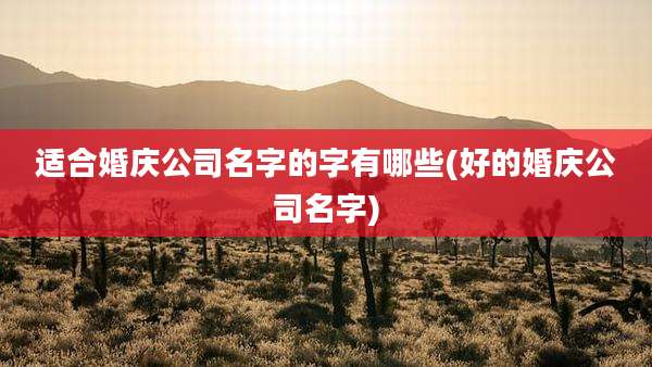 适合婚庆公司名字的字有哪些(好的婚庆公司名字)