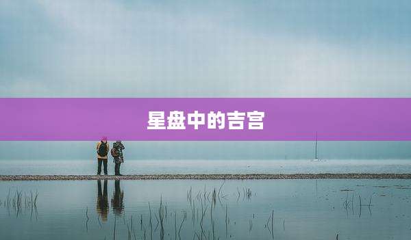 星盘中的吉宫