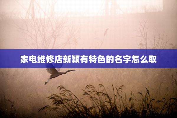 家电维修店新颖有特色的名字怎么取