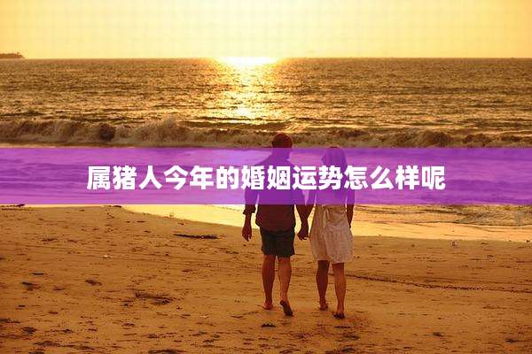 属猪人今年的婚姻运势怎么样呢