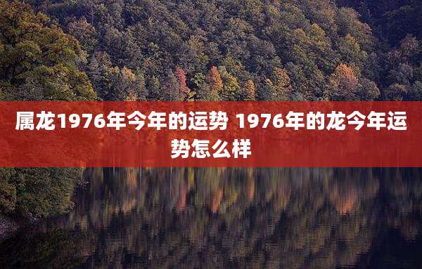 属龙1976年今年的运势 1976年的龙今年运势怎么样