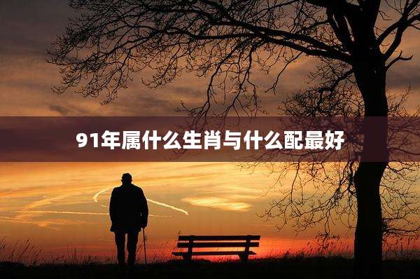 91年属什么生肖与什么配最好