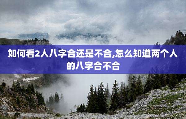 如何看2人八字合还是不合,怎么知道两个人的八字合不合