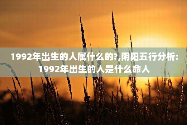 1992年出生的人属什么的?,阴阳五行分析:1992年出生的人是什么命人