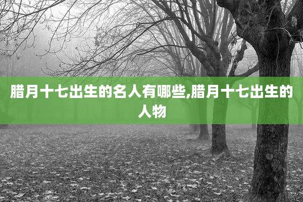 腊月十七出生的名人有哪些,腊月十七出生的人物