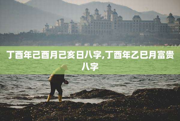 丁酉年己酉月己亥日八字,丁酉年乙巳月富贵八字