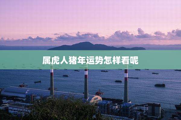 属虎人猪年运势怎样看呢