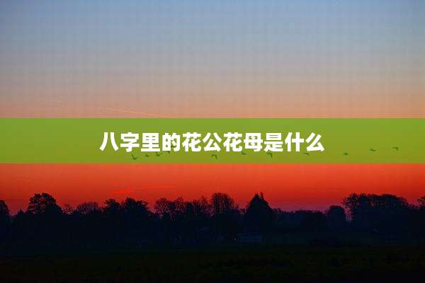八字里的花公花母是什么