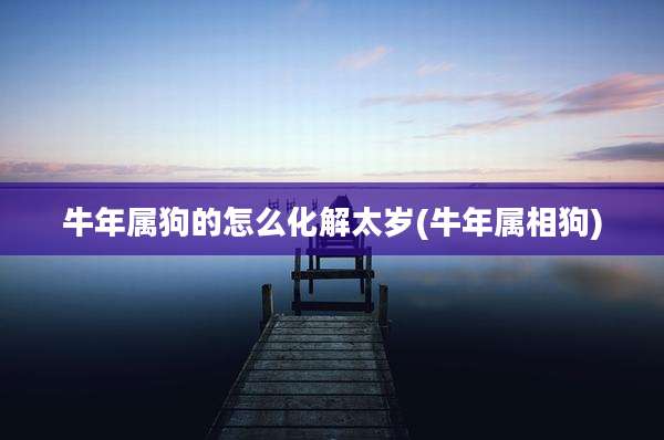 牛年属狗的怎么化解太岁(牛年属相狗)