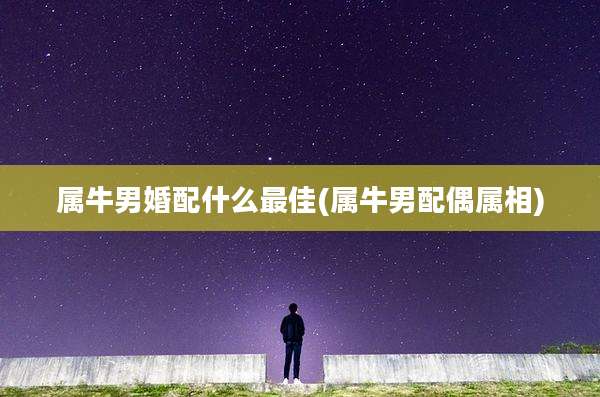 属牛男婚配什么最佳(属牛男配偶属相)
