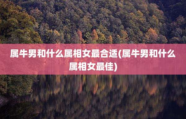 属牛男和什么属相女最合适(属牛男和什么属相女最佳)