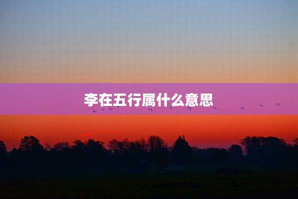 李在五行属什么意思