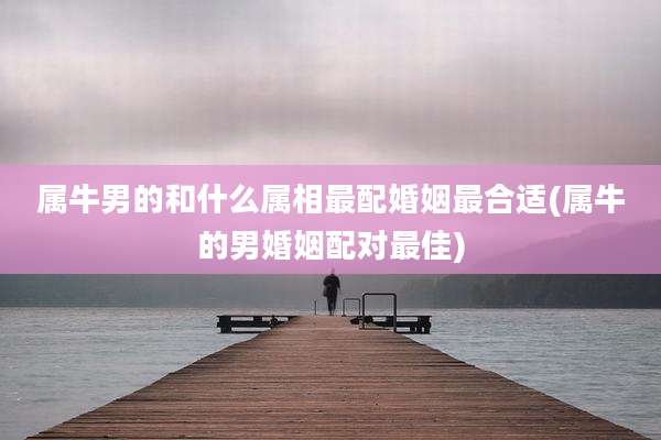 属牛男的和什么属相最配婚姻最合适(属牛的男婚姻配对最佳)