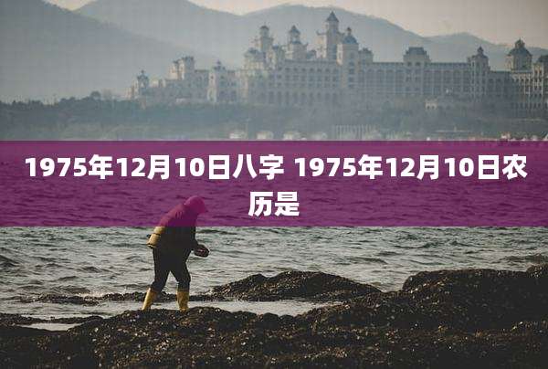 1975年12月10日八字 1975年12月10日农历是