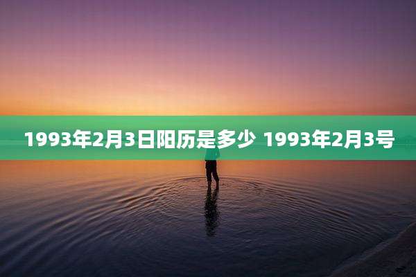 1993年2月3日阳历是多少 1993年2月3号