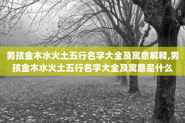 男孩金木水火土五行名字大全及寓意解释,男孩金木水火土五行名字大全及寓意是什么